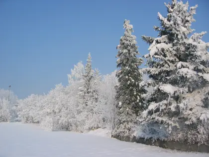 Winterlandschaft bei Crailsheim