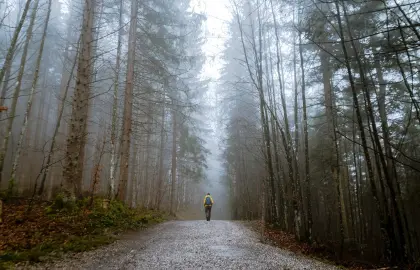 Ein einsamer Wanderer geht durch einen nebligen Wald