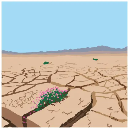 Blumen in der Wüste