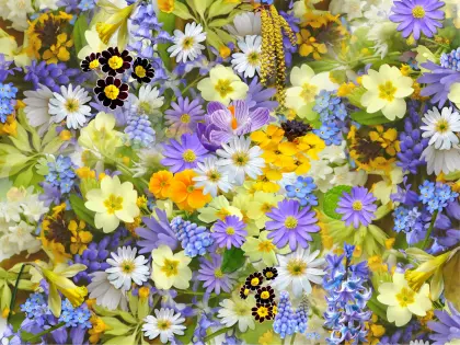 Frühlingsblumen, Collage