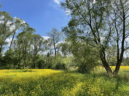 Frühlingslandschaft