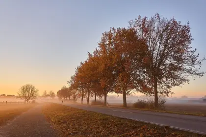 Landstraße im Herbst
