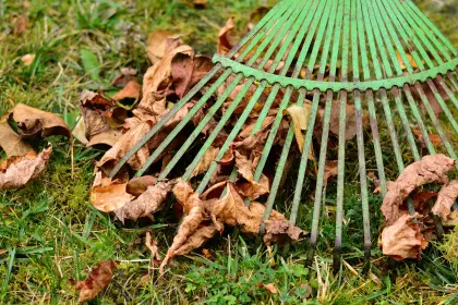Herbstlaub rechen statt blasen