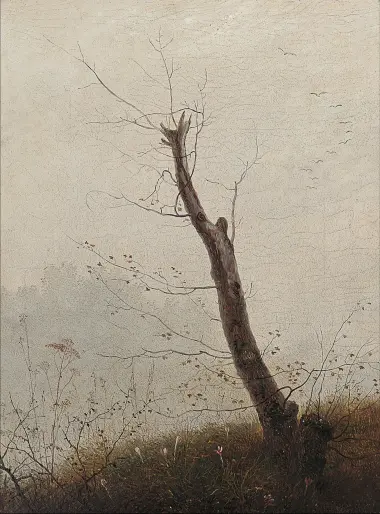 Kahler Baum im Herbstnebel