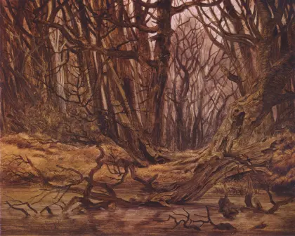 Wald im Spätherbst