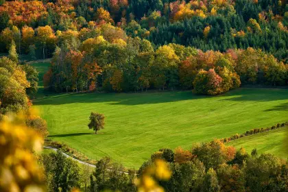 Herbstfärbung im Oktober