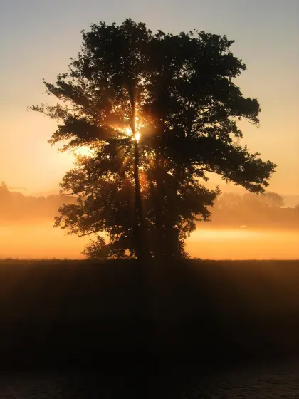 Sonnenuntergang im Herbst