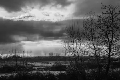 Landschaft mit kahlen Bäumen