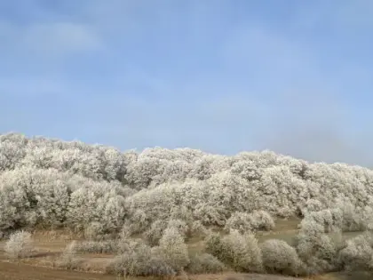 Märchenzauber im Winterwald