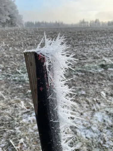 Winterlandschaft im Januar