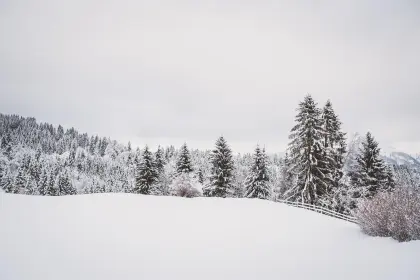 Winterlandschaft mit Bäumen und Schnee