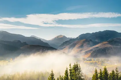 Bergbewuchs mit Bäumen