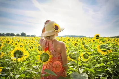 Frau im Sonnenblumenfeld