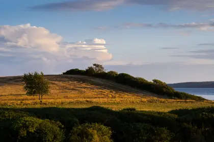 Grünes Grasfeld unter blauem Himmel