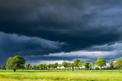 Gewitterwolken über einer Wiese