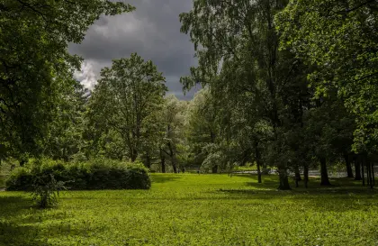 Parklandschaft vor dem Regen