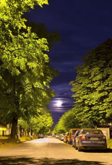 Vollmond in einer Sommernacht