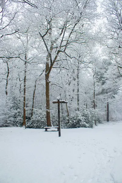Wegweiser mit Schnee bedeckt unter kahlen Bäumen