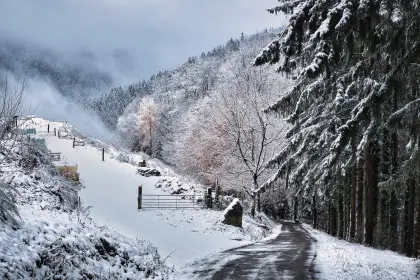 Winterlandschaft im Schwarzwald