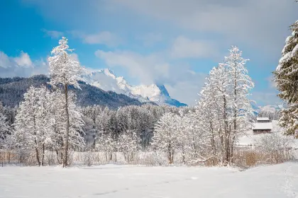 Verschneite Winterlandschaft