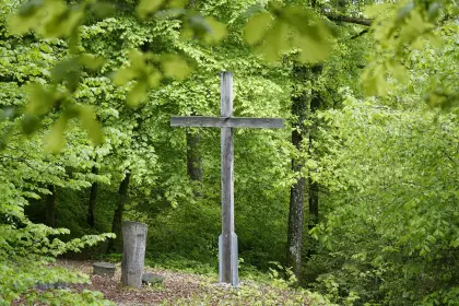 Kreuz auf einem Friedwald